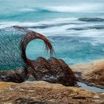 Sculptures By the Sea 2018 Image -5bd2b67282b6e