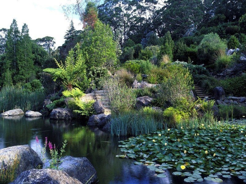 Mount Tomah Botanical Gardens Image -5be7526d4e6b6