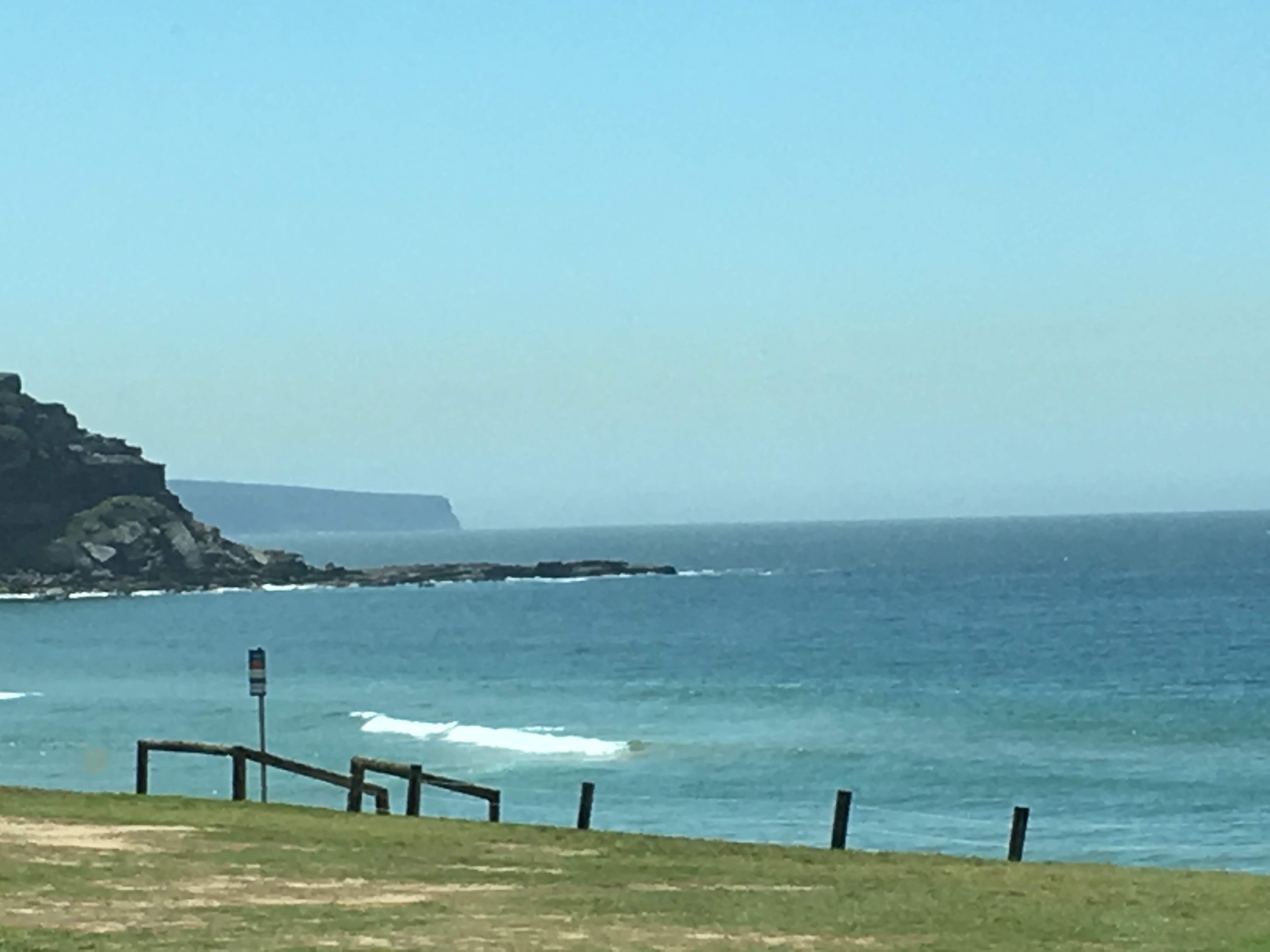 Northern Beaches Day Tour [ October 2018 ]