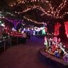 Hunter Valley Gardens Christmas Lights 2018-2019 Public Day Night Tour