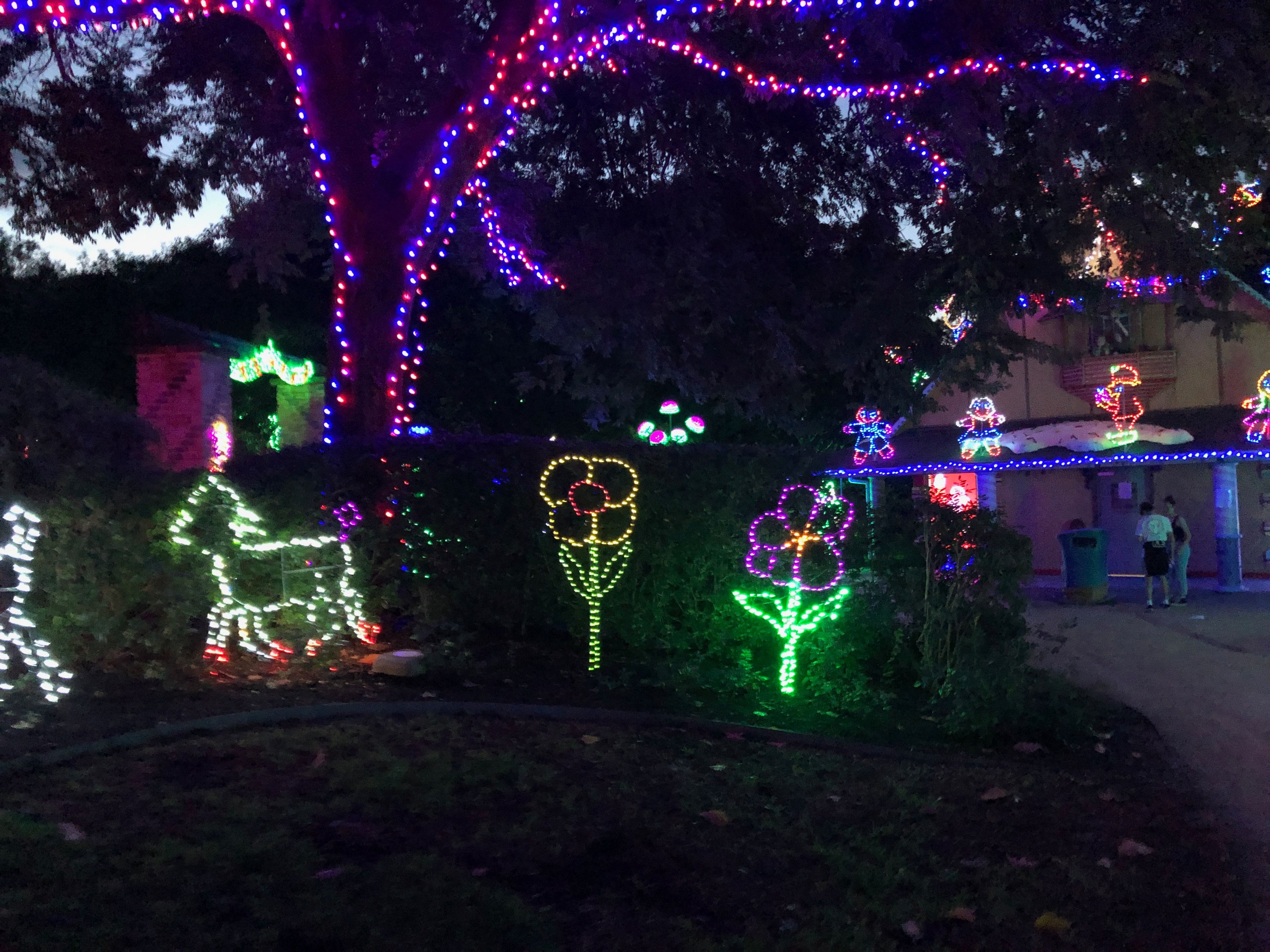 Hunter Valley Gardens Christmas Lights 2018-2019 Public Day Night Tour Image -5c149f3c3cd29