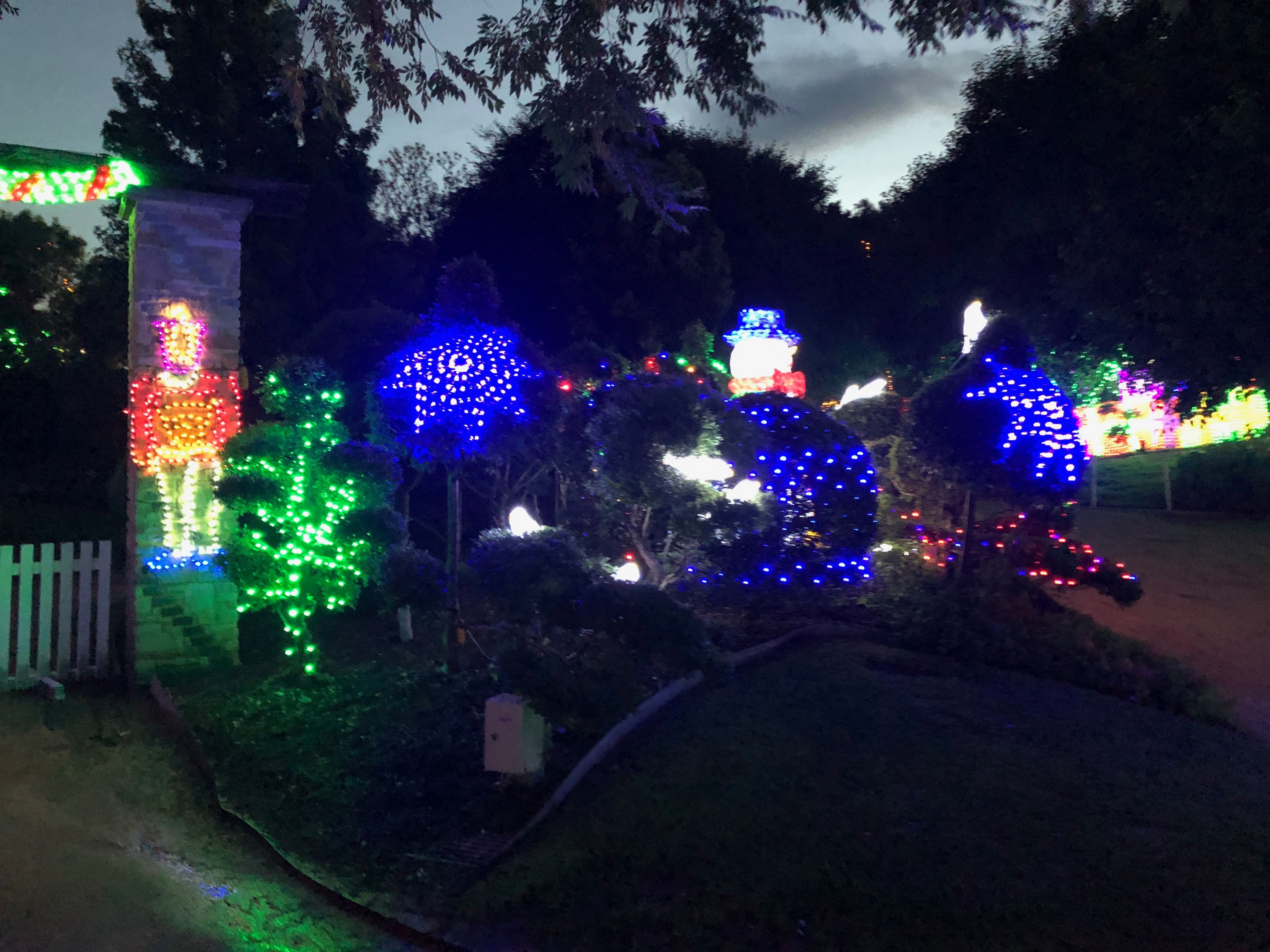Hunter Valley Gardens Christmas Lights 2018-2019 Public Day Night Tour Image -5c149f3d85184