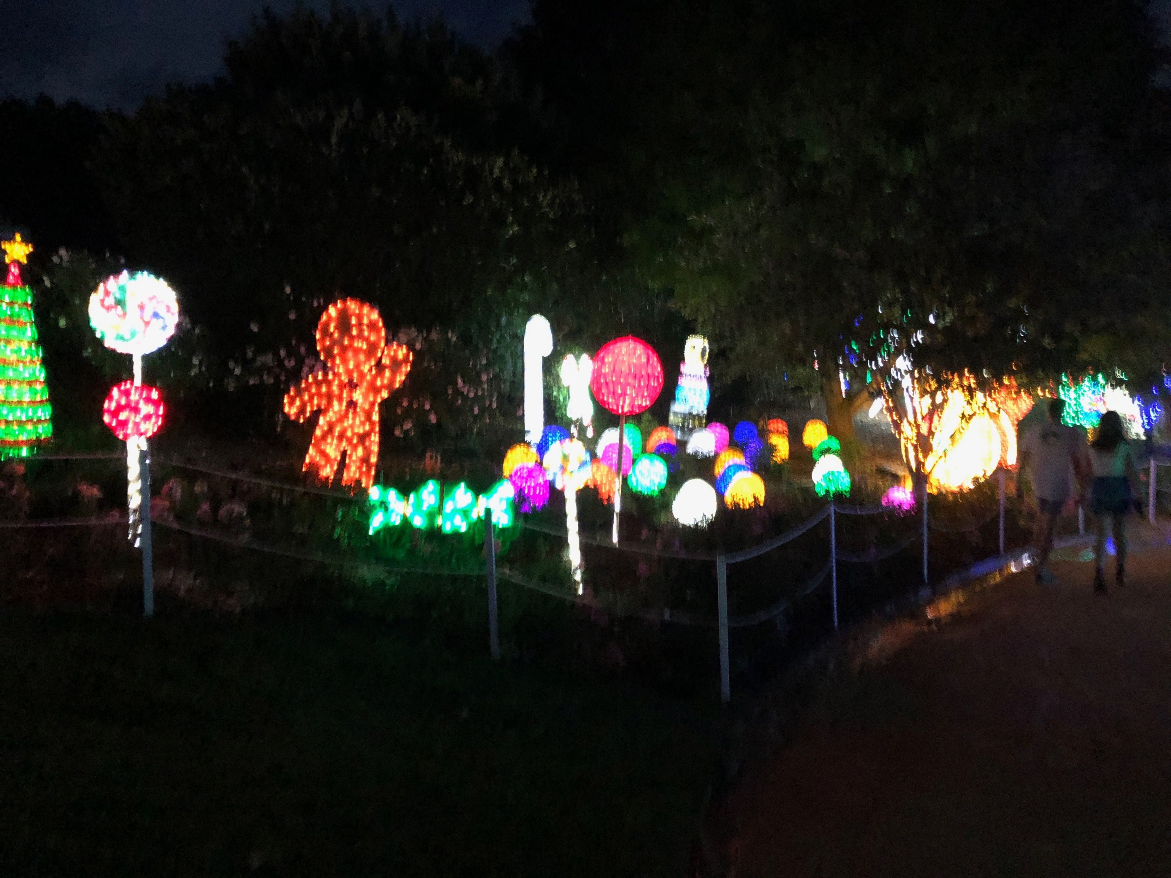 Hunter Valley Gardens Christmas Lights 2018-2019 Public Day Night Tour Image -5c149f4525525