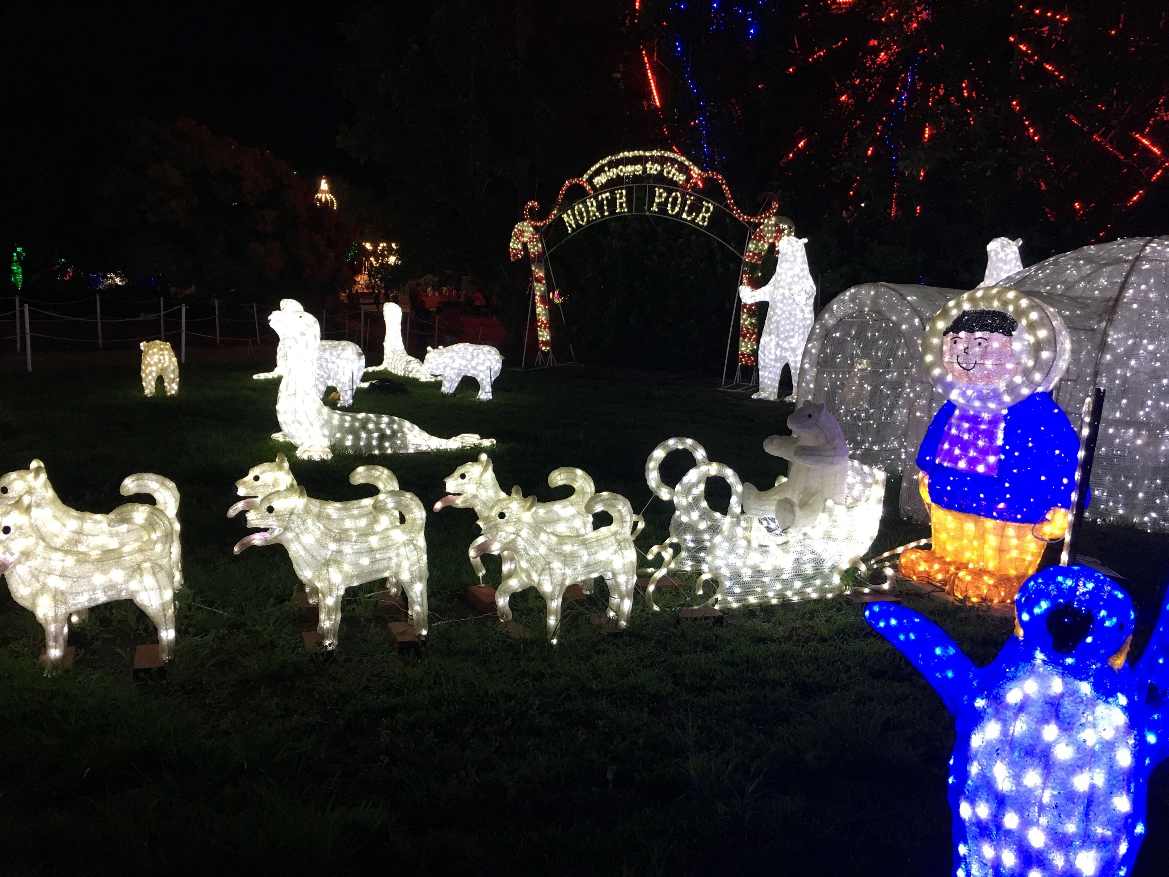 Hunter Valley Gardens Christmas Lights 2018-2019 Public Day Night Tour Image -5c149f613824a