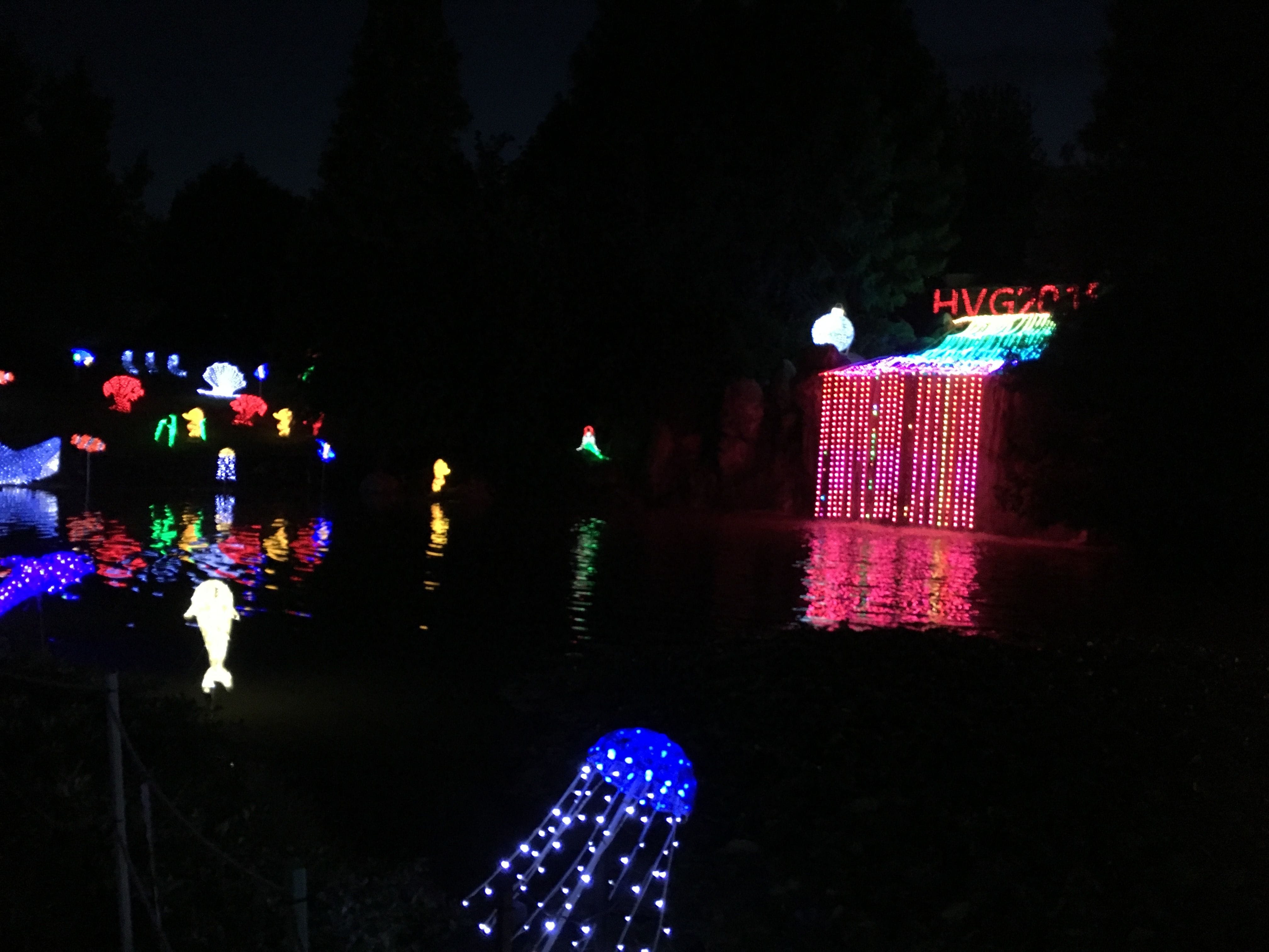 Hunter Valley Gardens Christmas Lights 2018-2019 Public Day Night Tour Image -5c149f62690f2