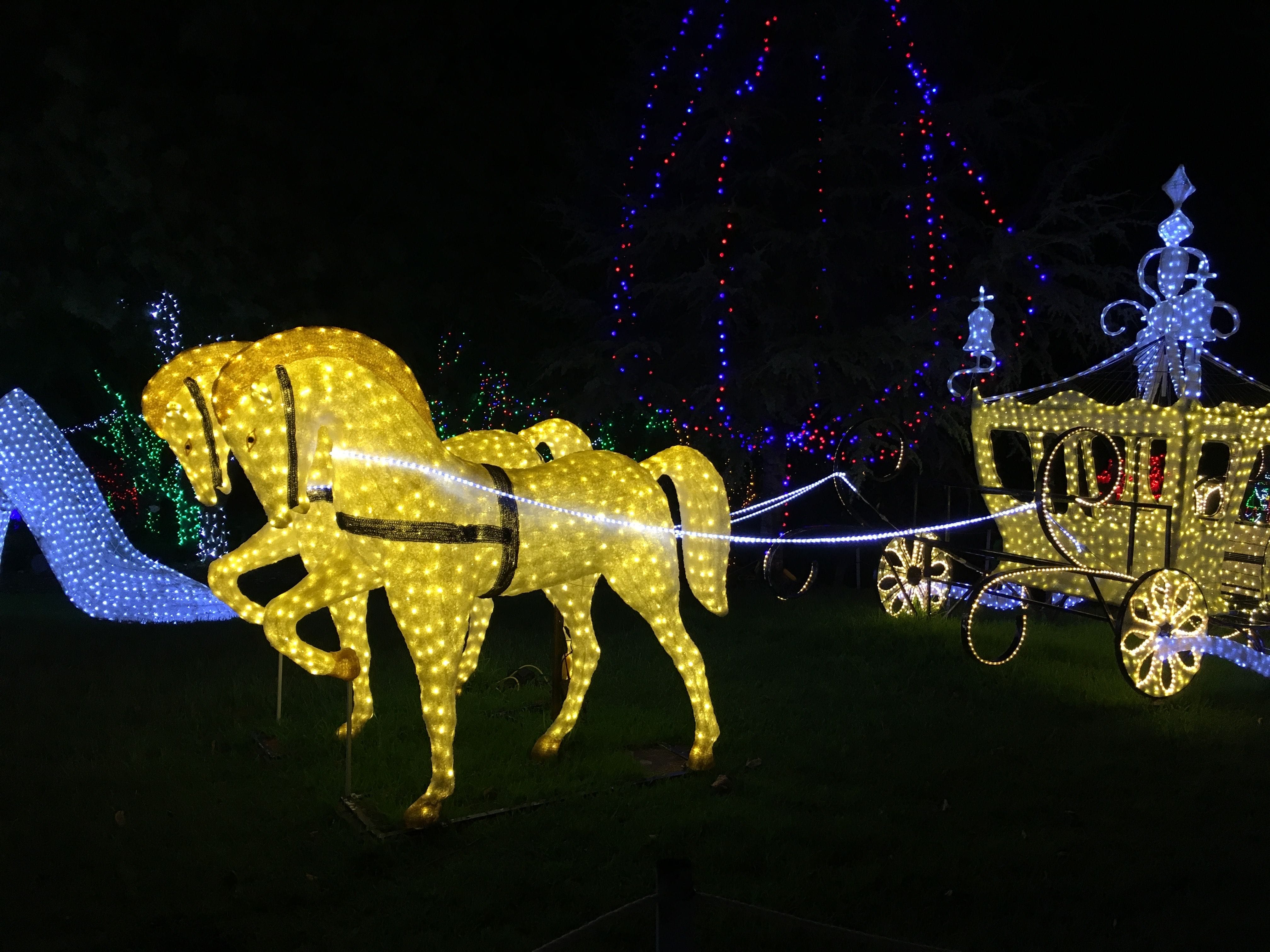 Hunter Valley Gardens Christmas Lights 2018-2019 Public Day Night Tour Image -5c149f65aaad5