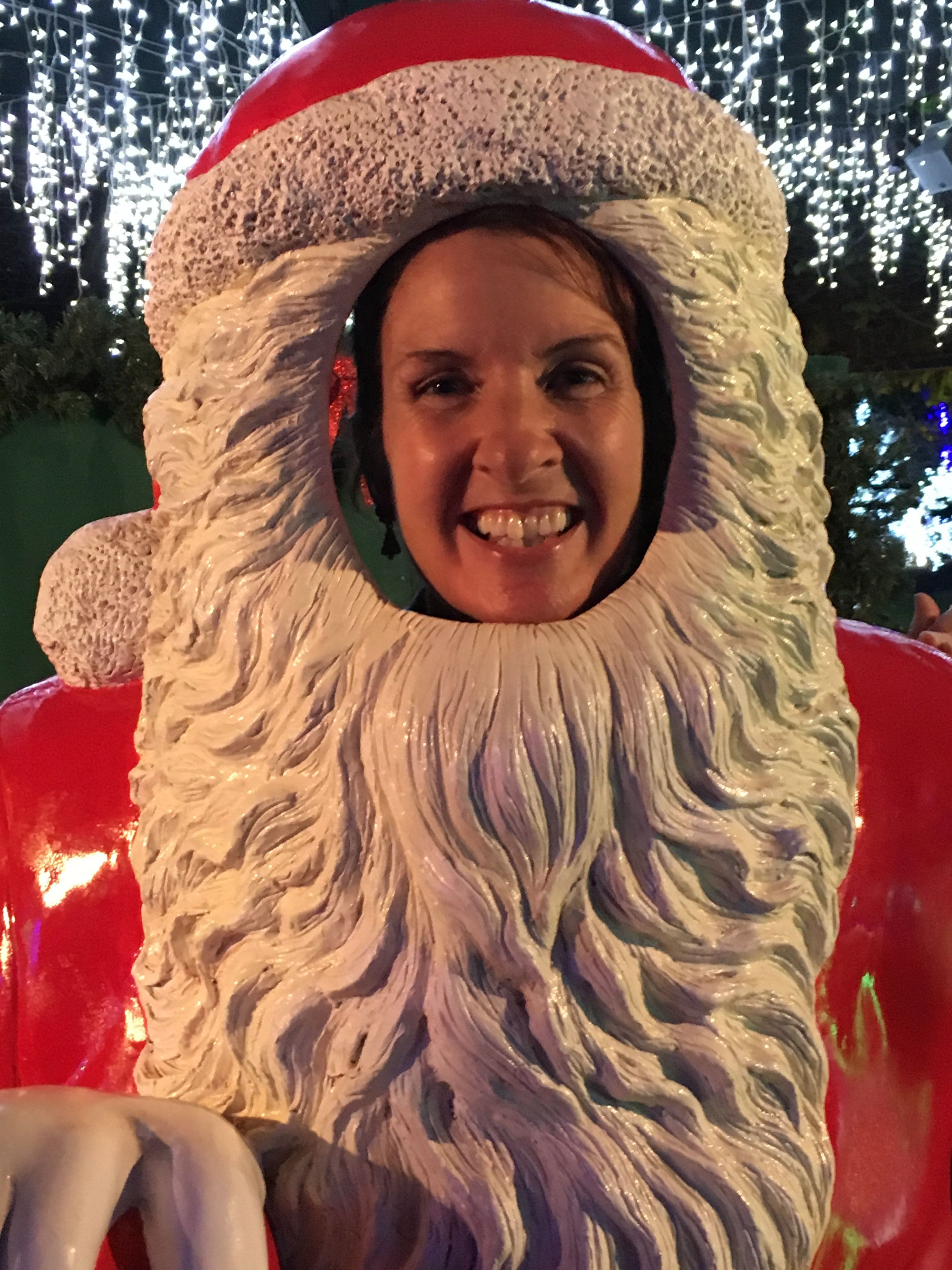 Hunter Valley Gardens Christmas Lights 2018-2019 Public Day Night Tour Image -5c149f6ad9155