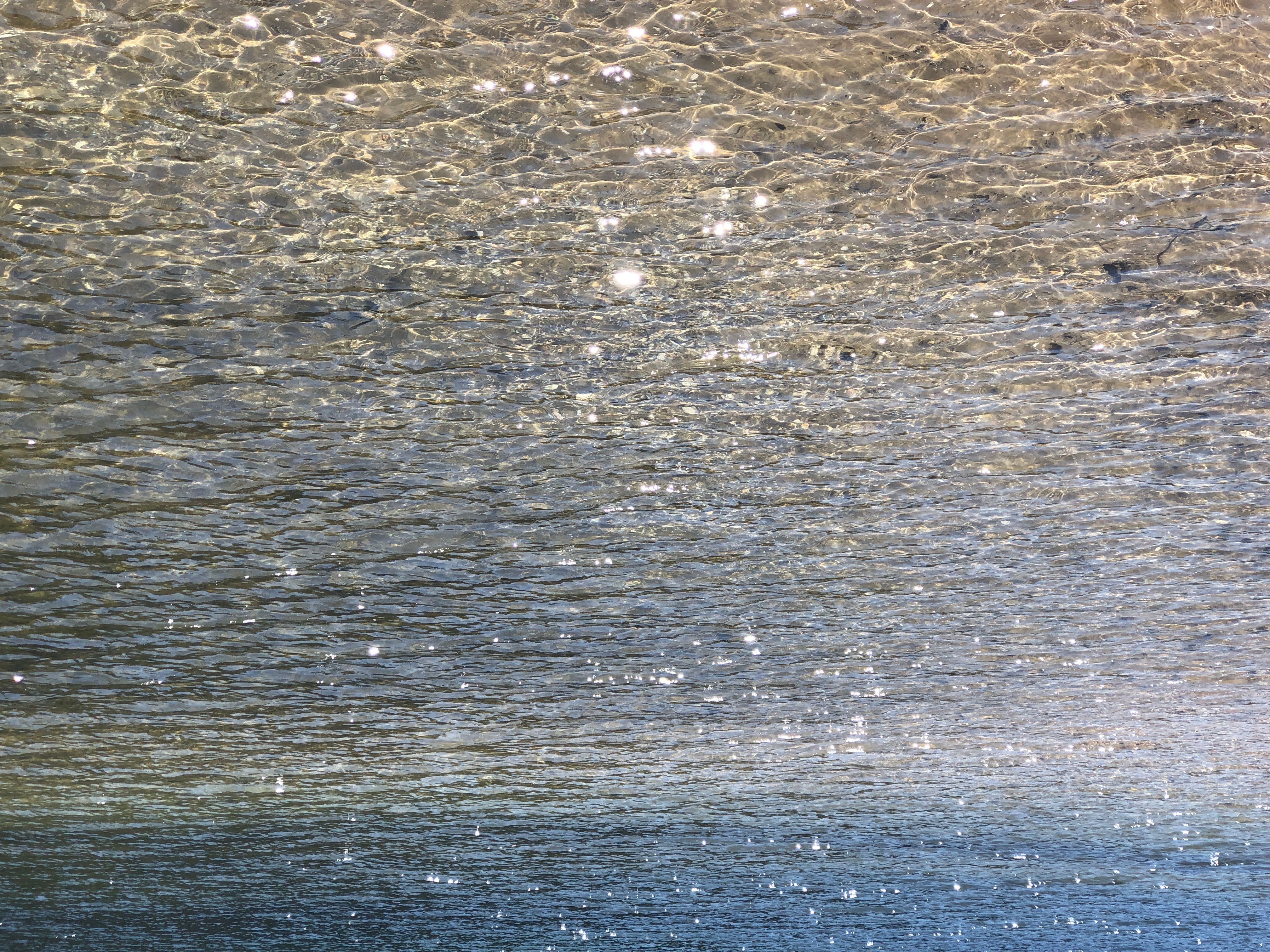 Northern Beaches Public Day Tour febuary 2019 Image -5c64962112e58