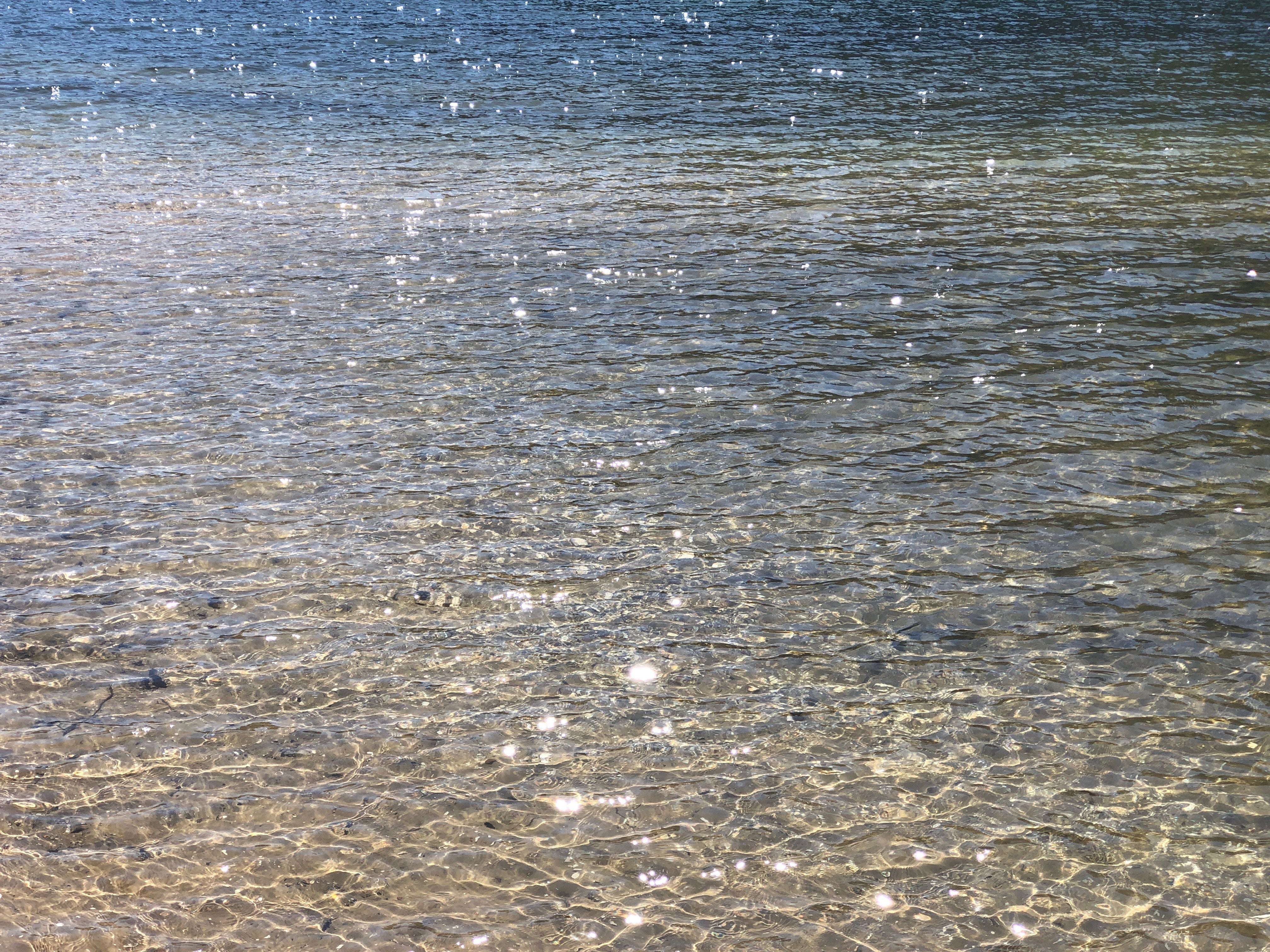 Northern Beaches Public Day Tour febuary 2019 Image -5c649623687c1