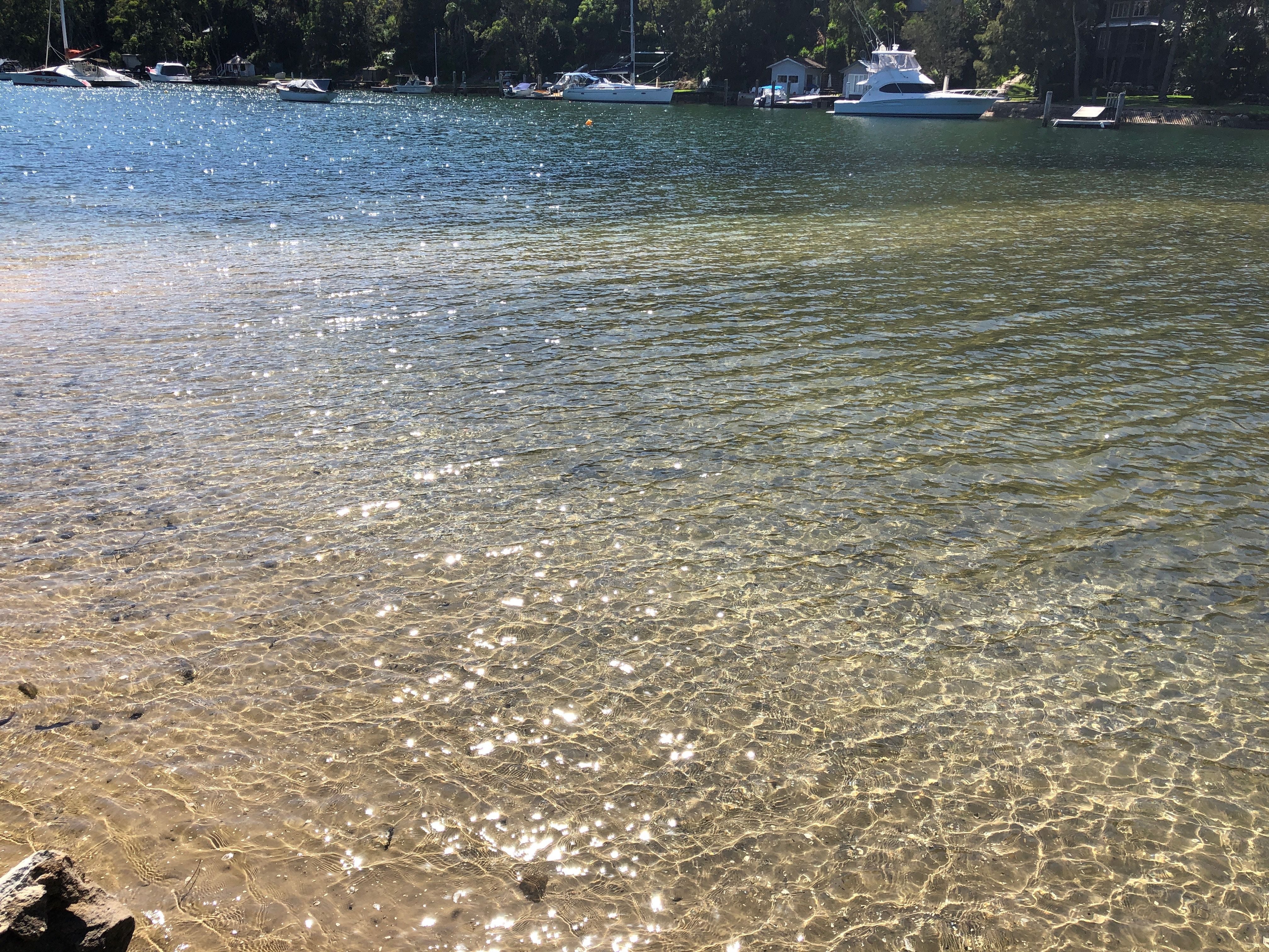 Northern Beaches Public Day Tour febuary 2019 Image -5c649625ad2a1