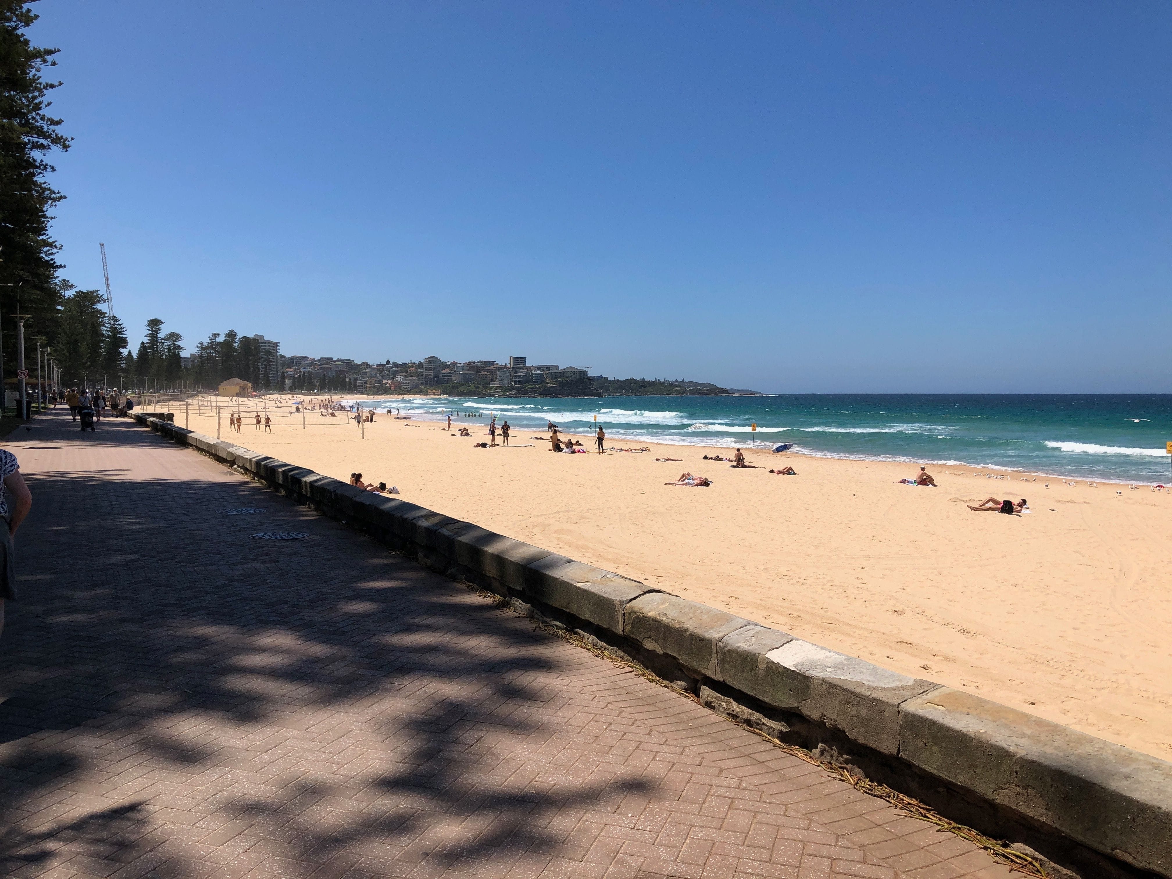 Northern Beaches Public Day Tour febuary 2019 Image -5c649635ee59b