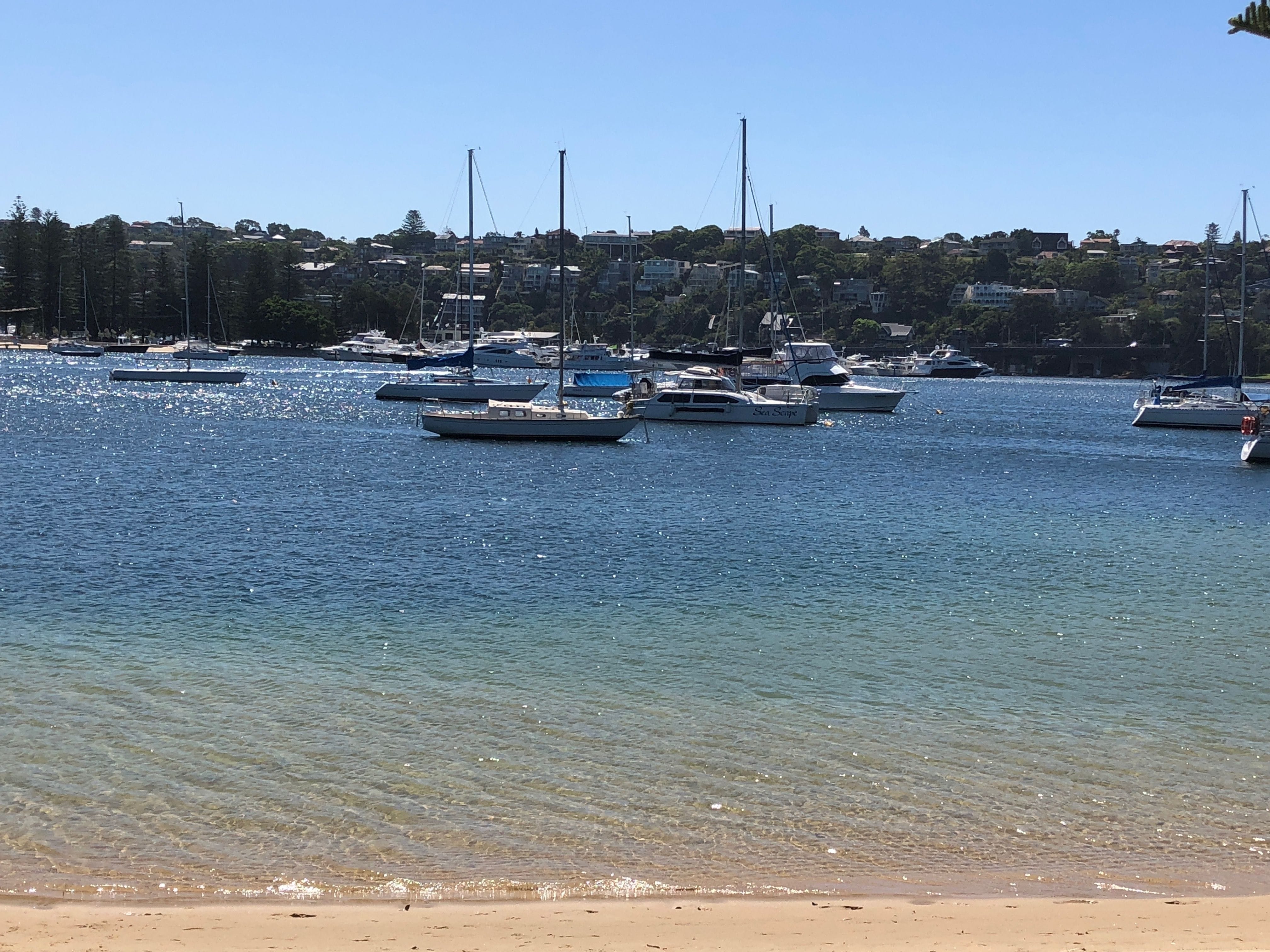 Northern Beaches Public Day Tour febuary 2019 Image -5c64964feed47