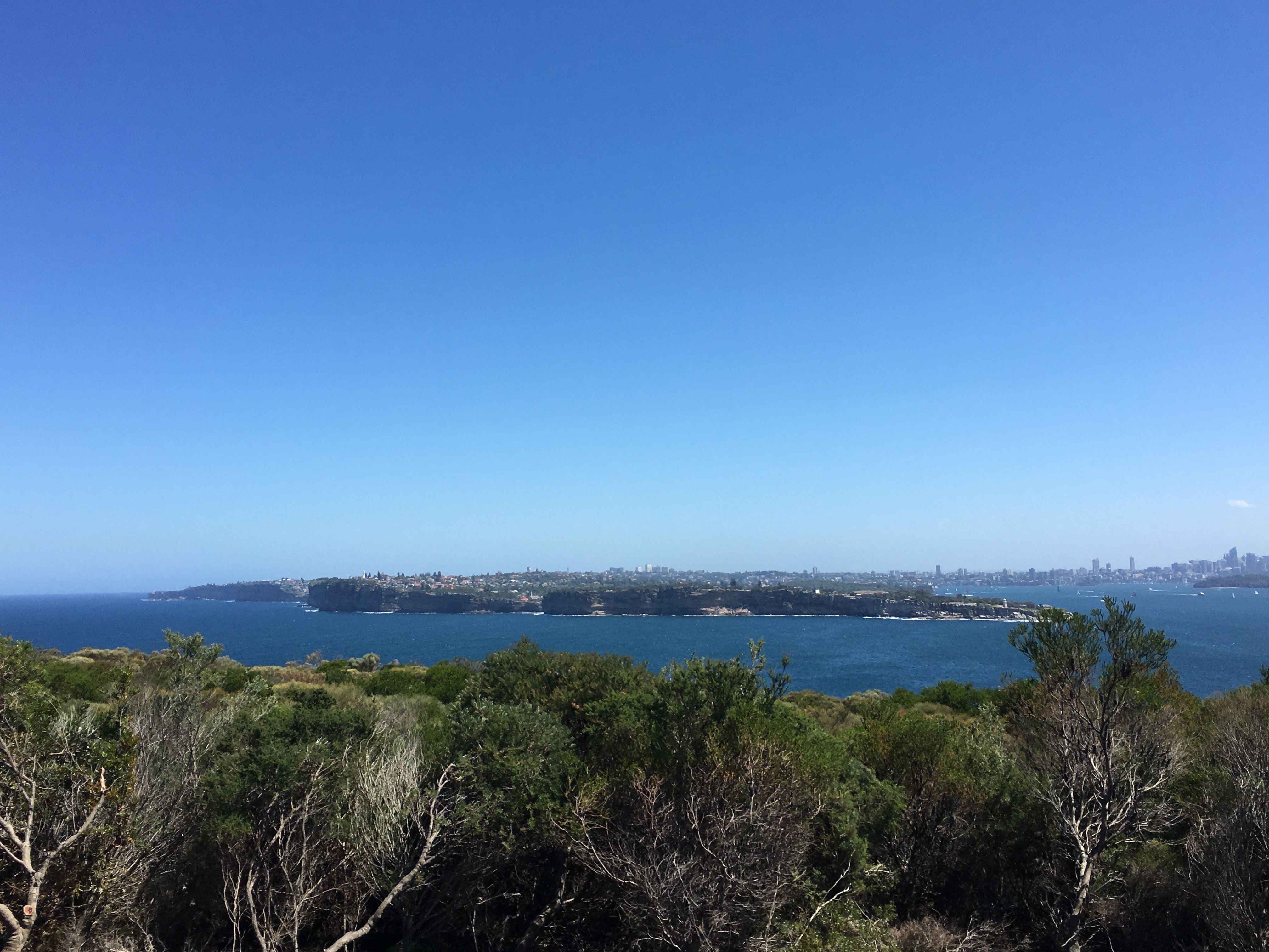 Northern Beaches Public Day Tour febuary 2019 Image -5c6496787bdde