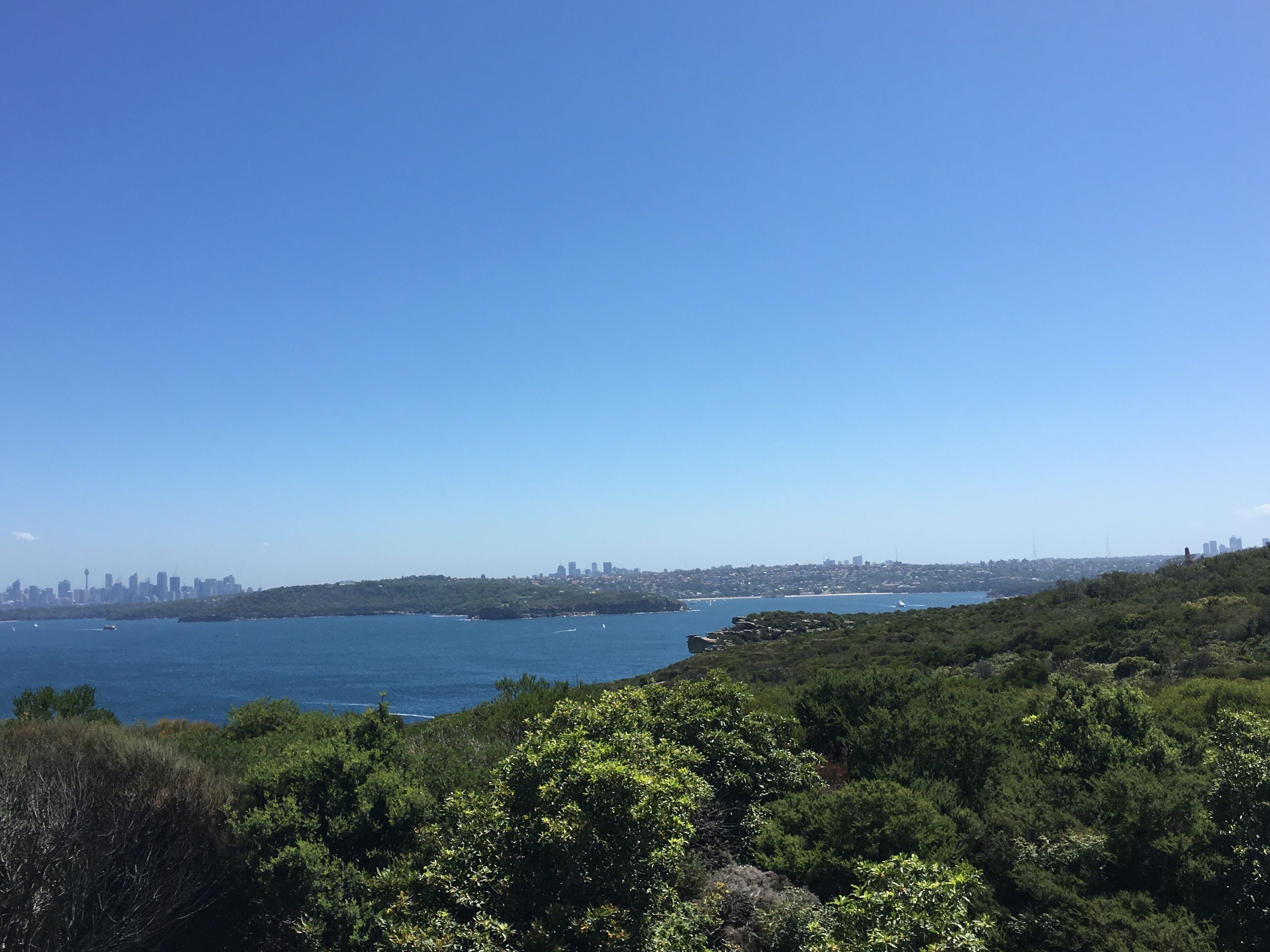 Northern Beaches Public Day Tour febuary 2019 Image -5c64967a2e1fc