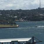 Parramatta River cruise & Cockatoo Island March 2019 Image -5c8d86a03b8f1