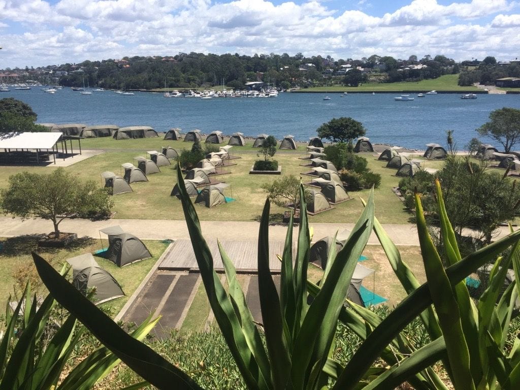 Parramatta River cruise & Cockatoo Island March 2019 Image -5c8d86a51ae26