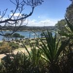 Parramatta River cruise & Cockatoo Island March 2019 Image -5c8d86a579e1a