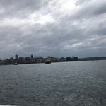 Parramatta River cruise & Cockatoo Island March 2019 Image -5c8d872a5e625