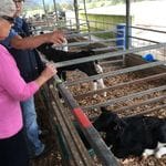 Tocal Homestead Public Day Tour - May 2019 Image -5ce4f458f40f3