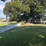 Tocal Homestead Public Day Tour - May 2019 Image -5ce4f4633a5d9