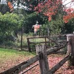 Tocal Homestead Public Day Tour - May 2019 Image -5ce4f48814d66