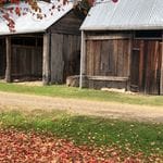 Tocal Homestead Public Day Tour - May 2019 Image -5ce4f48c32721
