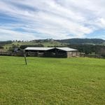 Tocal Homestead Public Day Tour - May 2019 Image -5ce4f4926ffe3