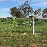 Tocal Homestead Public Day Tour - May 2019 Image -5ce4f49a29e86