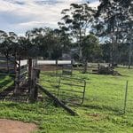 Tocal Homestead Public Day Tour - May 2019 Image -5ce4f49b81a80