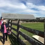 Tocal Homestead Public Day Tour - May 2019 Image -5ce4f4ae08801