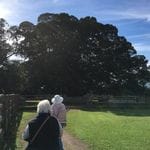 Tocal Homestead Public Day Tour - May 2019 Image -5ce4f4af9ad1c