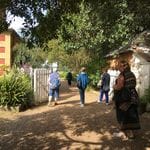 Tocal Homestead Public Day Tour - May 2019 Image -5ce4f4cd28e15