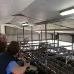 Tocal Homestead Public Day Tour - May 2019 Image -5ce4f4d51be71