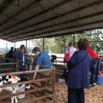 Tocal Homestead Public Day Tour - May 2019 Image -5ce4f4d8e0004