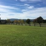 Tocal Homestead Public Day Tour - May 2019 Image -5ce4f4dd72d19