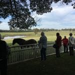 Tocal Homestead Public Day Tour - May 2019 Image -5ce4f4f24a86e