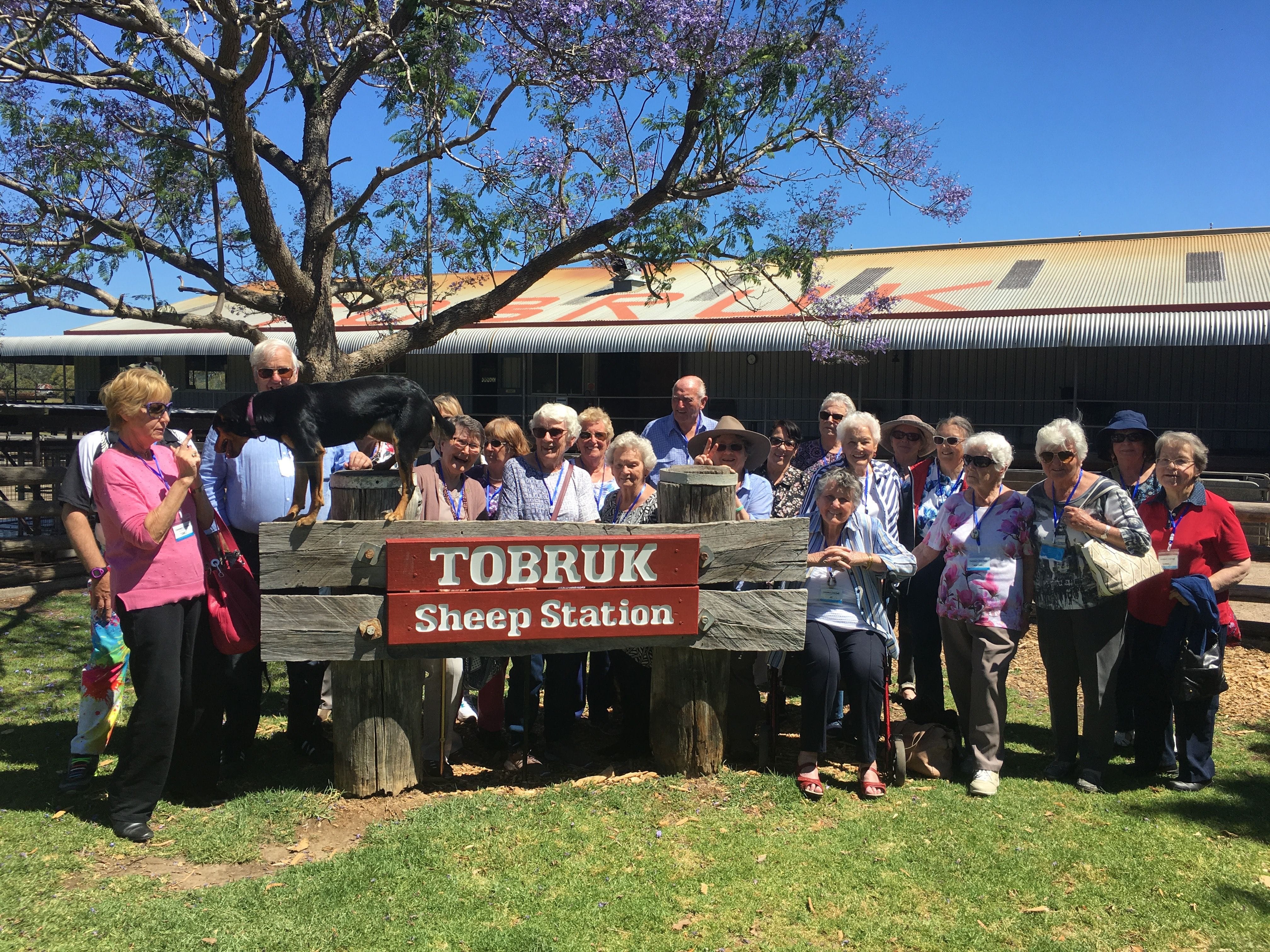 Tobruk Public Day Tour [ November 2019 ] Image -5dc7266000b1d