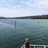 Port Hacking River Cruise Febuary 2020 Public Day Tour
