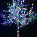 Hunter Valley Christmas Lights Spectacular 2019 Image -5e9b6e7f0b660