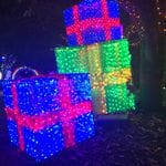 Hunter Valley Christmas Lights Spectacular 2019 Image -5e9b6ed1d659c