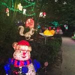 Hunter Valley Christmas Lights Spectacular 2019 Image -5e9b6f04a95c0
