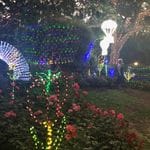 Hunter Valley Christmas Lights Spectacular 2019 Image -5e9b6f18c0cfd