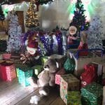 Hunter Valley Christmas Lights Spectacular 2019 Image -5e9b6f6cdeb1c