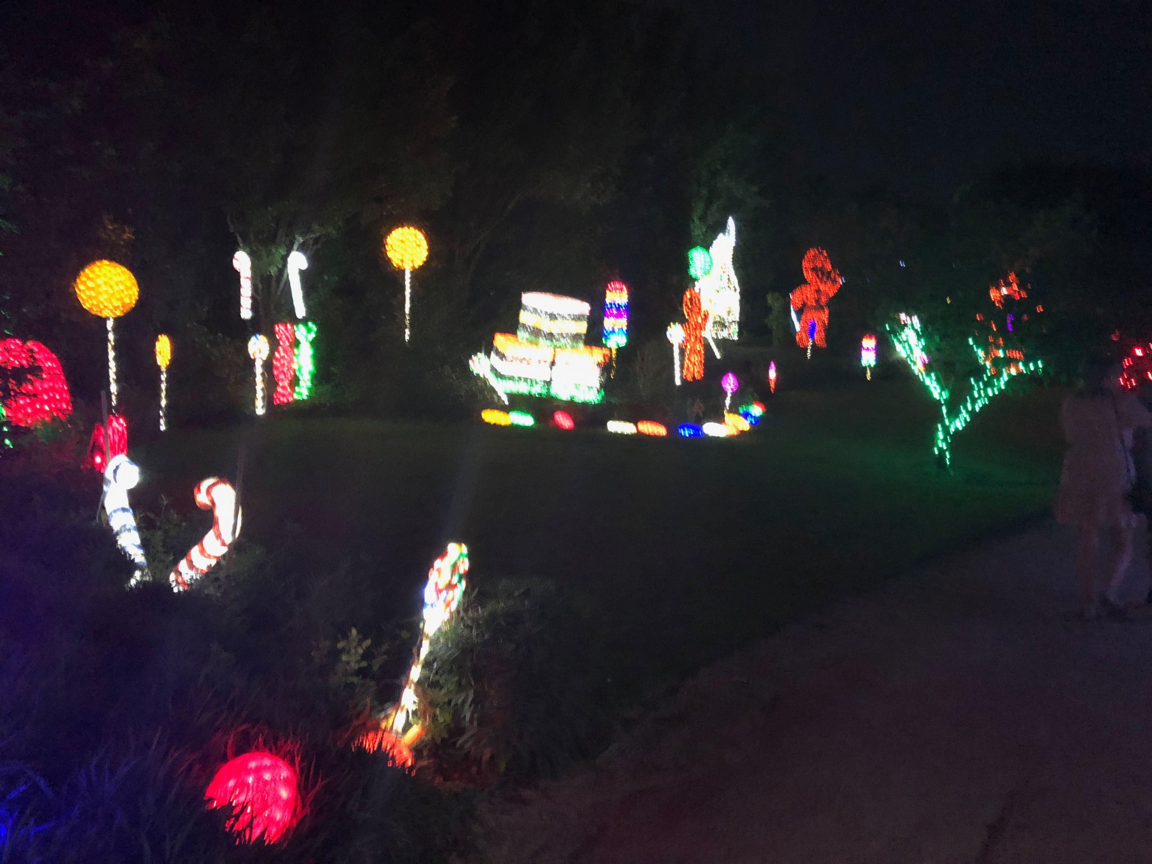 Hunter Valley Christmas Lights Spectacular 2019 Image -5e9b6f8f328d3
