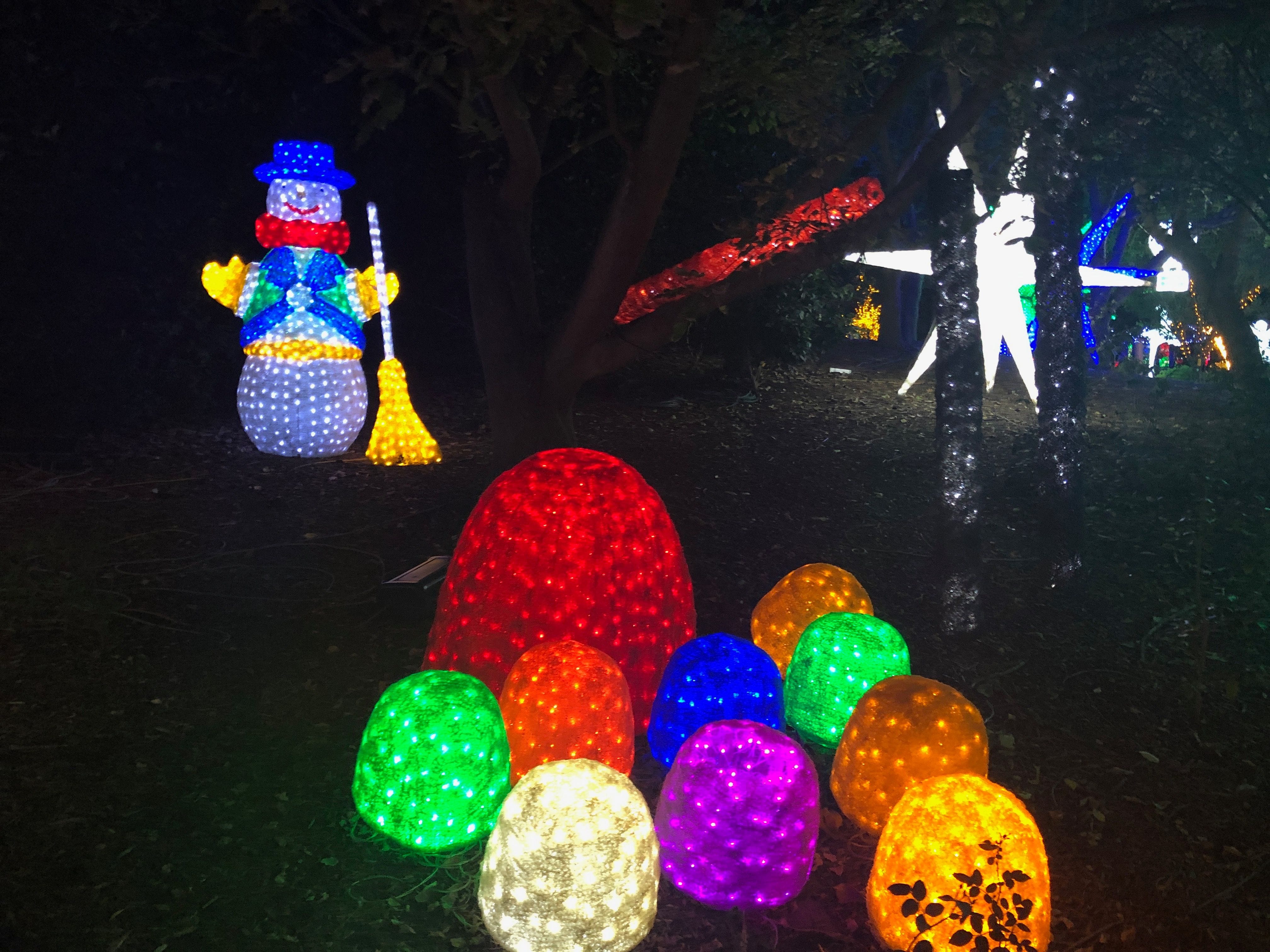 Hunter Valley Christmas Lights Spectacular 2019 Image -5e9b6f9a184ad