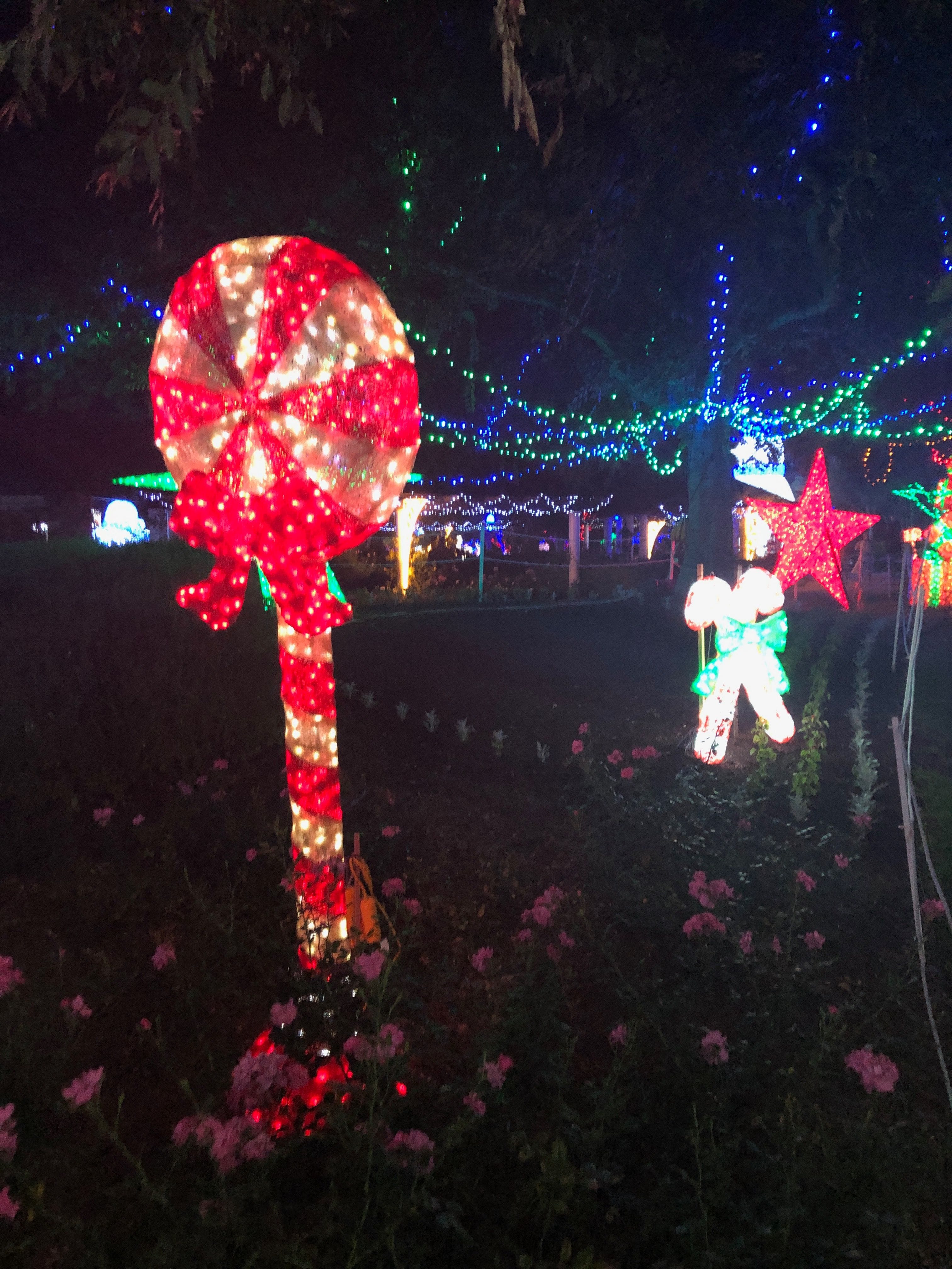 Hunter Valley Christmas Lights Spectacular 2019 Image -5e9b6f9d9fde0