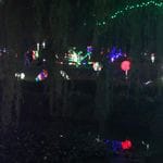 Hunter Valley Christmas Lights Spectacular 2019 Image -5e9b6f9fd653b