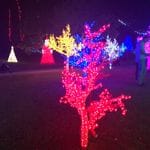 Hunter Valley Christmas Lights Spectacular 2019 Image -5e9b6fa504ace