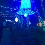 Hunter Valley Christmas Lights Spectacular 2019 Image -5e9b6fa7f067d