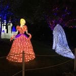 Hunter Valley Christmas Lights Spectacular 2019 Image -5e9b6fe4e3fb0